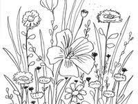 Lassen sie sich von der farbigen version inspirieren. Die 7 Besten Ideen Zu Blumen Wiese Blumen Wiese Blumen Blumen Malen