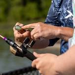 Fishing for the Eagles at the Bird Sanctuary
