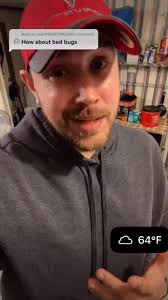 How to get rid of bedbugs