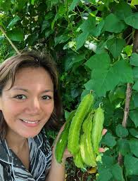 Harvest sa tg lamig. May pa latak2 pa ulit. May pa seeds ulit ang alugbati  FromMuntingbukid