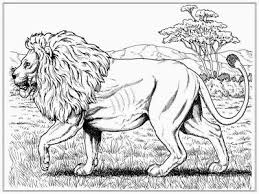 Pin On Coloring Pages For Adults