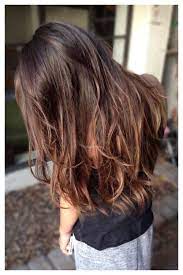 Pin By Matrix On Balayage And Ombre Balayage Straight Hair Asian Hair Balayage Hair