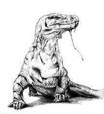 Stats on this coloring page. Komodo Dragon Poisonous Saliva Coloring Pages Download Print Online Coloring Pages For Free Color Nimbus Komodo Dragon Komodo Dragon Coloring Page