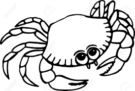 You can download crab cartoon posters and flyers templates,crab cartoon backgrounds crab cartoon. Simple Black And White Line Drawing Of A Cartoon Beach Crab Stock Photo Picture And Royalty Free Image Image 19158122