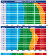 muscle mass chart bmi bone mass etc