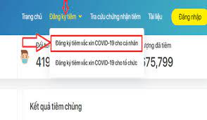 Hiện tại, khánh hoà và bình dương. HÆ°á»›ng Dáº«n Ä'Äƒng Ky Tiem Váº¯c Xin Covid 19 Online Cho NgÆ°á»i Dan