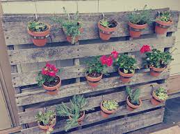 vertical pallet garden terra cotta hanging planters herb pallets apartment therapy plants