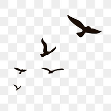 Cartoon Picture Of Birds Flying In The Sky Vector Cartoon Menina Imagem Dos Desenhos Animados Menina Dos Desenhos Animados Flores Arquivo Png E Psd Para Download Gratuito In 2020 Bird Silhouette Flying Bird Silhouette Silhouette Illustration