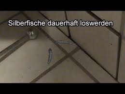Youtube Silberfische Fische Silberfische Bekampfen
