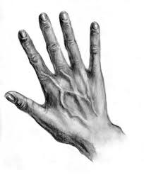 Auf Folgende Seite Erkennen Sie Wie Kann Man Eine Hand Realistisch Zeichnen Die Anleitung Ist Auch D Realistisch Zeichnen Stilleben Zeichnen Skizzen Zeichnen