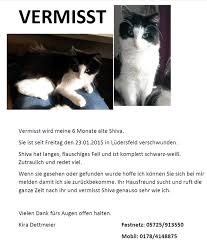 Vermisste katzen / gefundene katzen. Lieber Tierfreund Tierheim Stadthagen