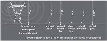 Exposure To Power Lines Linked To Cancer Safe Space Protection