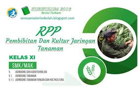 Rpp Pembibitan Dan Kultur Jaringan Tanaman Kelas Xi Smk Kurikulum 2013 Revisi 2018 Model Pembelajaran Problem Solving Kurikulum