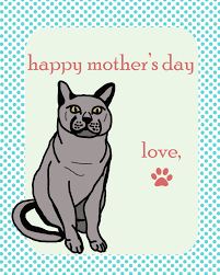 Maybe you would like to learn more about one of these? Cat Happy Mother S Day Free Stock Photo Public Domain Pictures