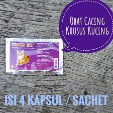 Hidup dengan menghsiap darah dan tisu dalam badan. 820 Gambar Hewan Cacing Kremi Gratis Terbaik Gambar Hewan