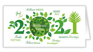 Voeux d'haïtilibre (2021) 25/12/2020 07:59:08. Voeux En Vert 2021 Cartes Entreprises Unicef
