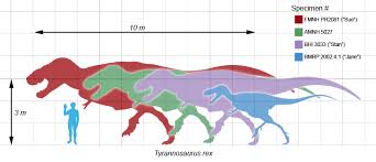 Dinosaur Size Charts