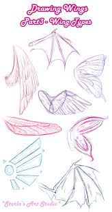 Types Wings Starla S Art Studio Wings Drawing Art Reference Photos Drawings