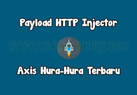Cara membuat config ovpn sendiri di android. Cara Membuat Config Payload Http Injector Axis Hura Hura Terbaru 2021