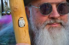 Some shots from Forest Fest at Emo 2025📸📸📸📸