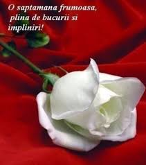 Viata ca o saptamana luminata: O Zi Minunata Iti Doresc