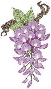 Pin On Wisteria