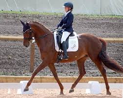 All of my senses are heightened and it feels so fucking. Para Dressage Two Athletes Working Together As Equals In A Wordless Conversation
