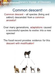 All organisms are related through descent from an ancestor; 16 1 Darwin S Voyage Of Discovery Ppt Video Online Download