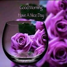 Good Morning Purple Rose Good Morning Flowers Good Morning Good Morning Greetings Good morning, good morning images, good morning for love, good morning massaged, good morning quotes. good morning purple rose good morning