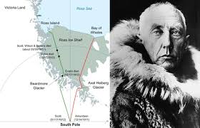 The Antarctic Report