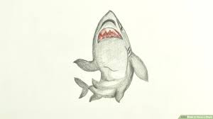 Their beauty is only matched by their stealth instead of trying to draw the shark as you see it, start by drawing basic shapes. 4 Ways To Draw A Shark Wikihow
