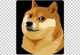I am mr.doge robolx and more!! Shiba Inu T Shirt Dogecoin Clothing Png Clipart Carnivoran Clothing Crew Neck Decal Dingo Free Png
