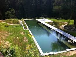 bio nova pool chlorine free natural swimming pools natural swimming ponds natural pool