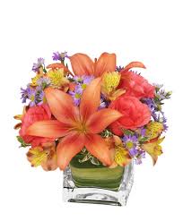 We did not find results for: Westbury Florist Westbury Ny Flower Shop Flowers By Carole