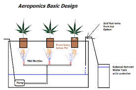 High Pressure Aeroponic Grow Page 2 420 Magazine