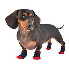 Dylan Dog Socks Puppia Non Slip Dog Socks Bowwowsbest Com Socks For Dogs Dog Socks Puppia Winter Dog Socks