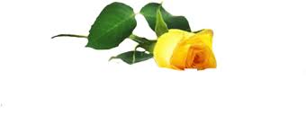 Jannie Brownridge Obituary February 22, 2023