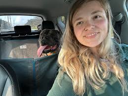 Sir Oliver enjoying a sunset swim. He's the handsomest boy. 🥰😍