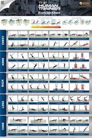 Suspension Trainer The Human Trainer Poster Exercise Chart Suspension Gym Workouts