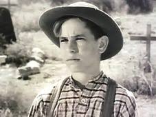 Watch Rawhide Online