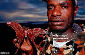 917 Bugs Tribe Stock Photos, High-Res Pictures, and Images