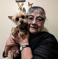 Ear question This is our late girl Deuces, most likely a shihpoo, I've  posted a lot of pics of here before. Were her ears long enough for tzu or  was this from