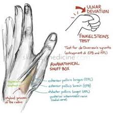 300 Best Hand Surgery Ideas In 2020 Hand Therapy Hand Surgery Anatomy And Physiology The anatomical snuffbox (also known as the radial fossa), is a triangular depression found on the lateral aspect of the dorsum of the hand. 300 best hand surgery ideas in 2020