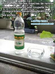 Comment Empecher Les Insectes De Rentrer Chez Vous Avec Du Vinaigre Blanc Vinaigre Blanc Vinaigre Insectes