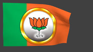 We want shipment in canada. Bjp Flag Bharatiya Janata Party Youtube