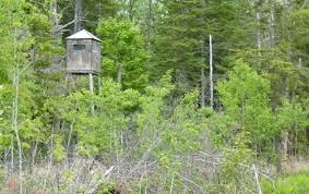 Land for sale door county wi. Door County Hunting Land For Sale 60 Acres Whitetail Dreams