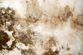 Old masters is recognized for its comprehensive wood stains and finishes retail programs for independent paint, hardware, and specialty woodworking retailers. Stains Poets