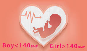 popular ways to predict babys gender fetal heart rate boy