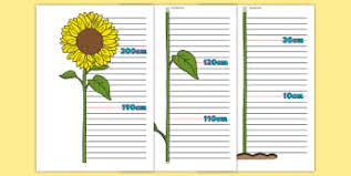 Height Charts For Children