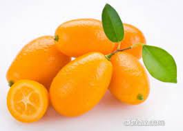 Kumquat Naranjo Enano Yucatan Mexico